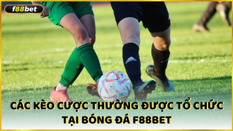 Cac Keo Cuoc Thuong Duoc To Chuc Tai Bong Da F88bet