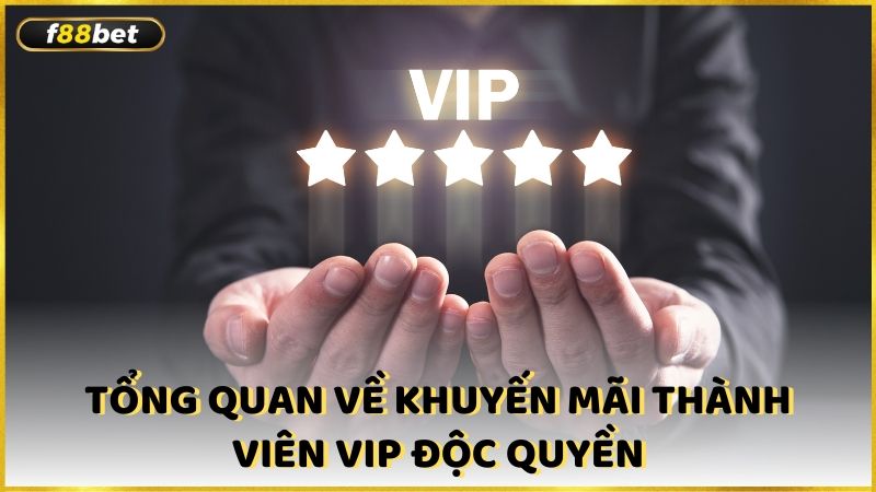 Tong Quan Ve Chuong Trinh Khuyen Mai Thanh Vien Vip Doc Quyen (1)