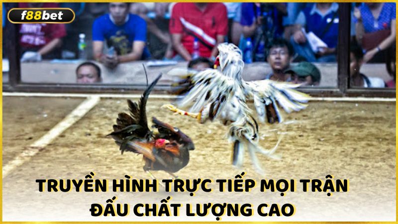 Truyen Hinh Truc Tiep Moi Tran Dau Chat Luong Cao